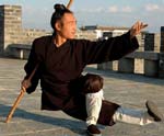 YMAA Guest Instructor of Wudang Kung Fu